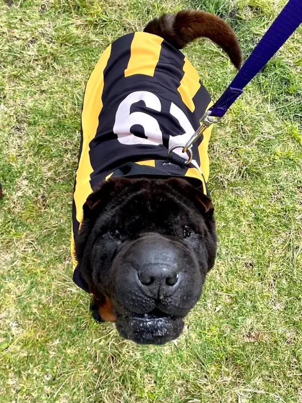 bailey123, 23 years old from Australia