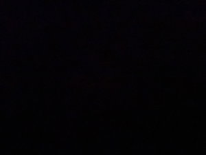 batata1's Profile Photo