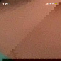 bdzeek's Profile Photo