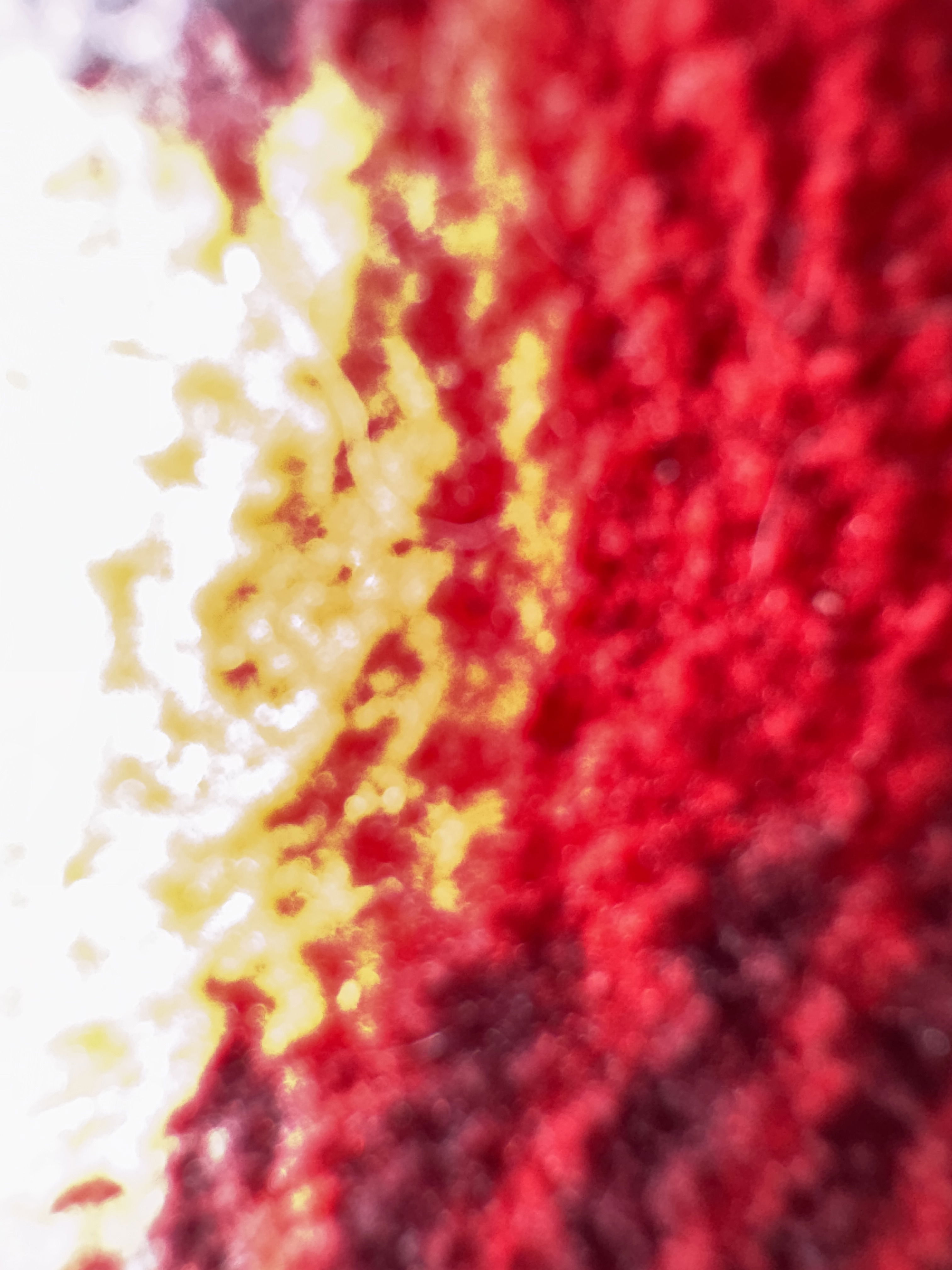 Benitocastor's Profile Photo