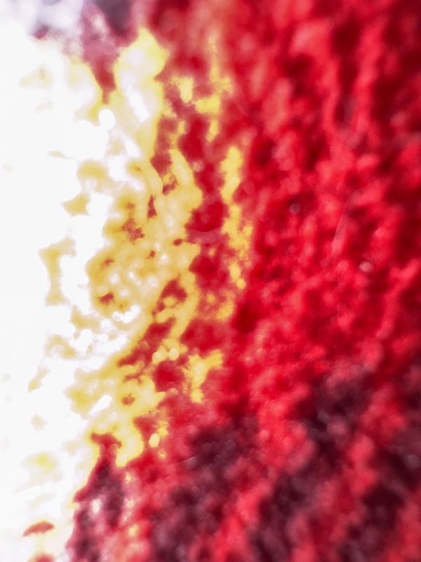 Benitocastor, 25 years old from United States