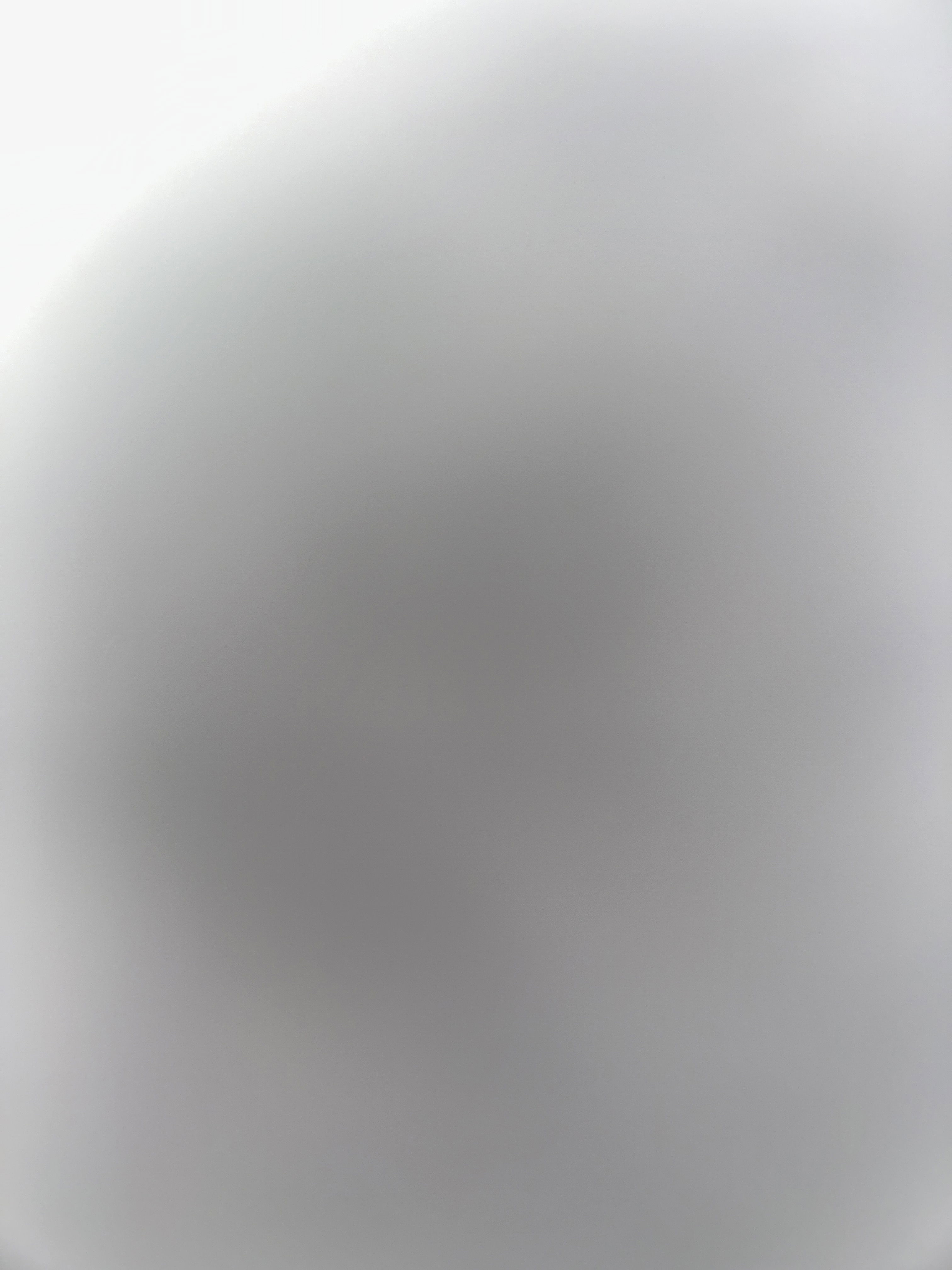 Bento's Profile Photo