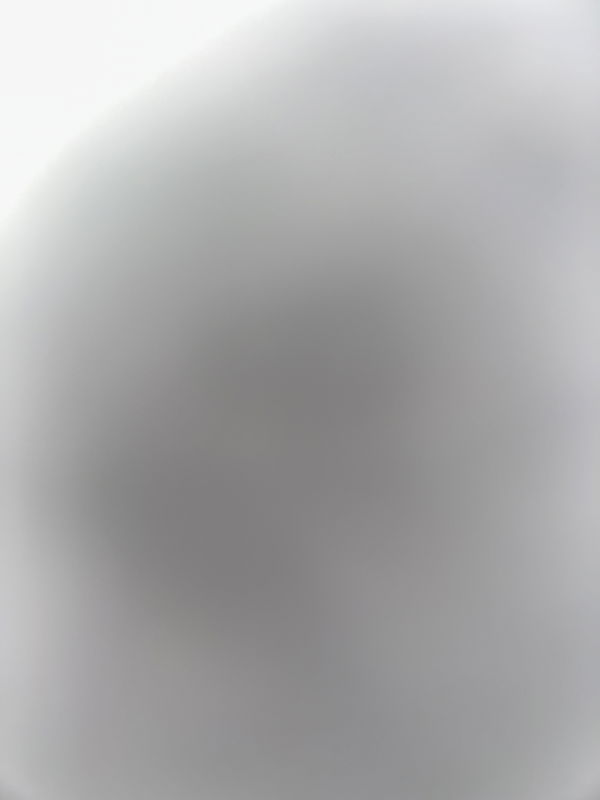 Bento, 18 years old from United States