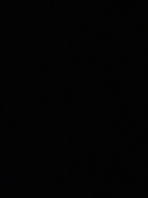 bidiski482's Profile Photo