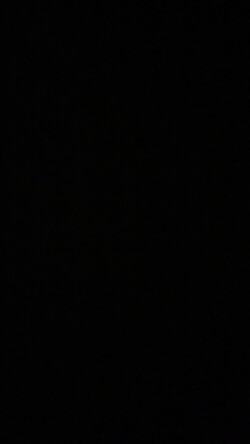 bigdick11's Profile Photo