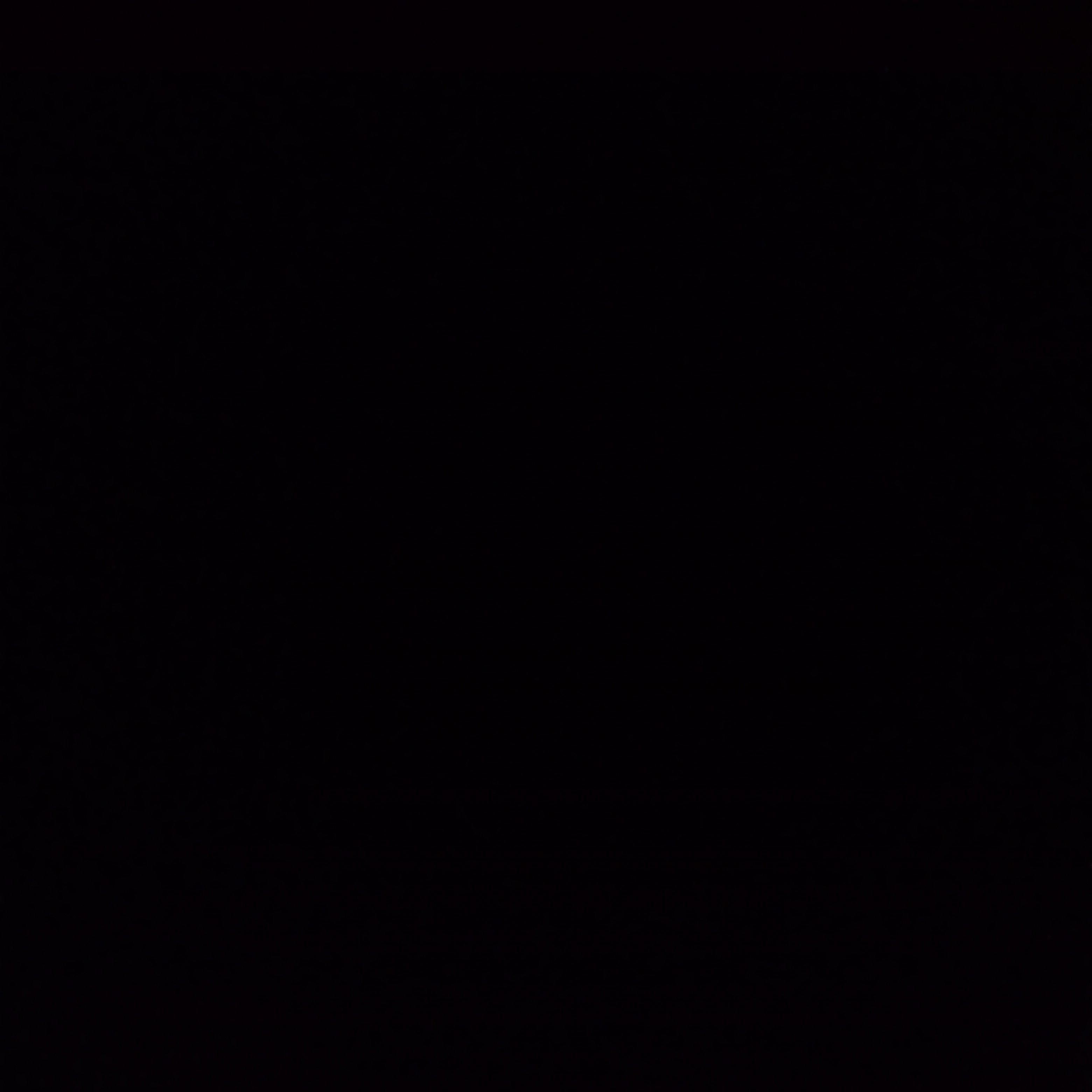 birajacd9z's Profile Photo