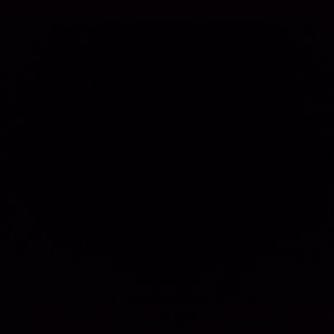 birajacd9z's Profile Photo