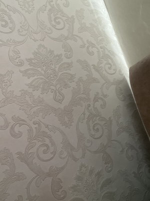 bj218969's Profile Photo