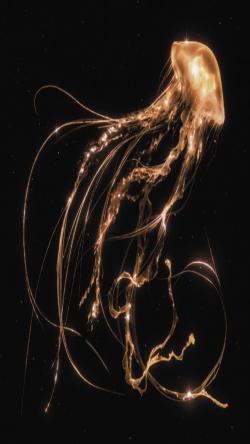 blakejacobs19, 21 years old from United States