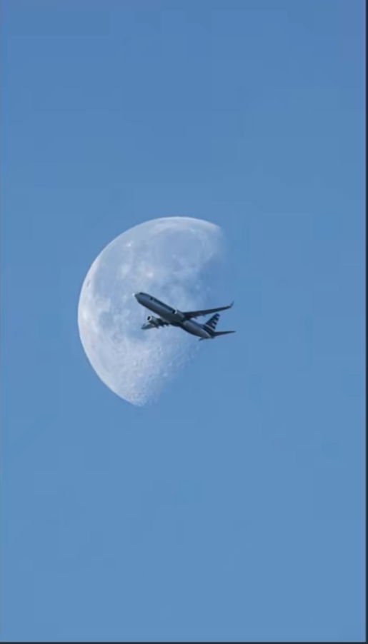 Bobby837's Profile Photo