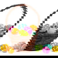 bogbeech's Profile Photo