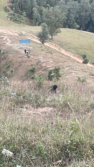 bokaman083's Profile Photo