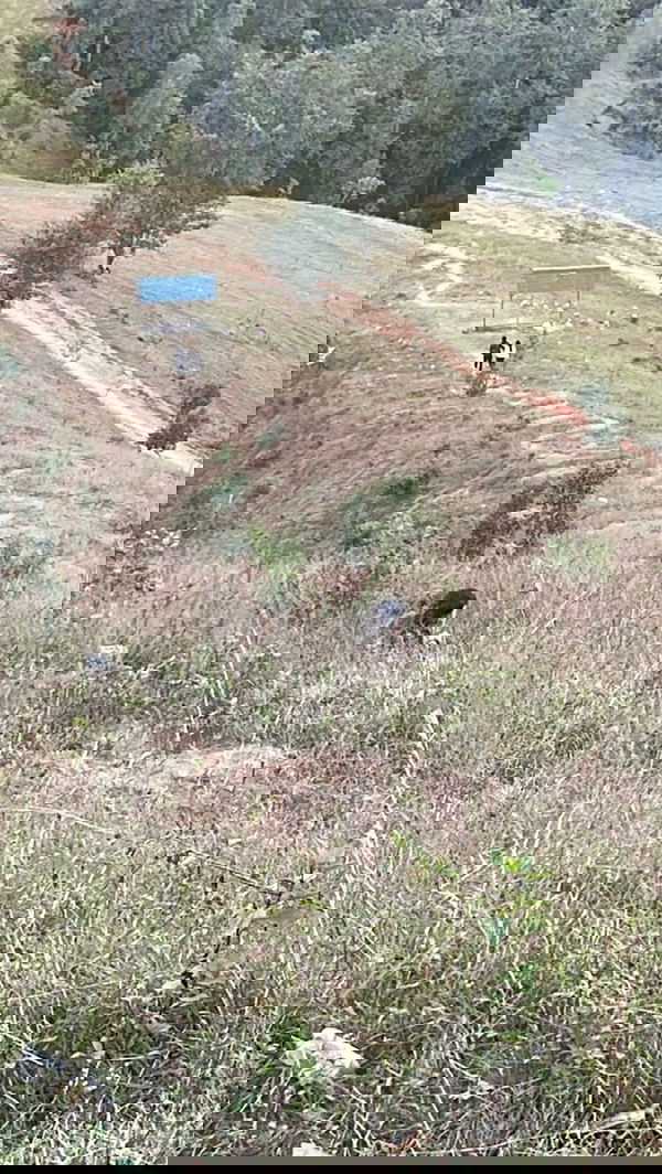 bokaman083, 19 years old from Nepal