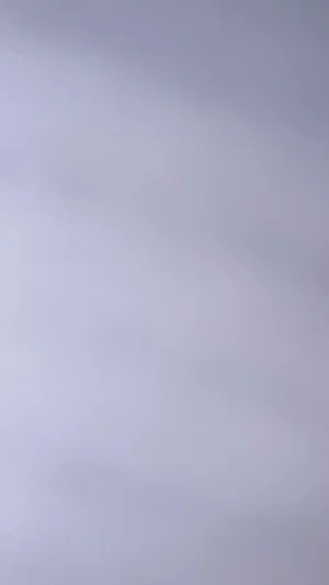boobo, 19 years old from United States