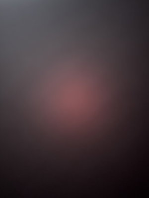 brando8012's Profile Photo