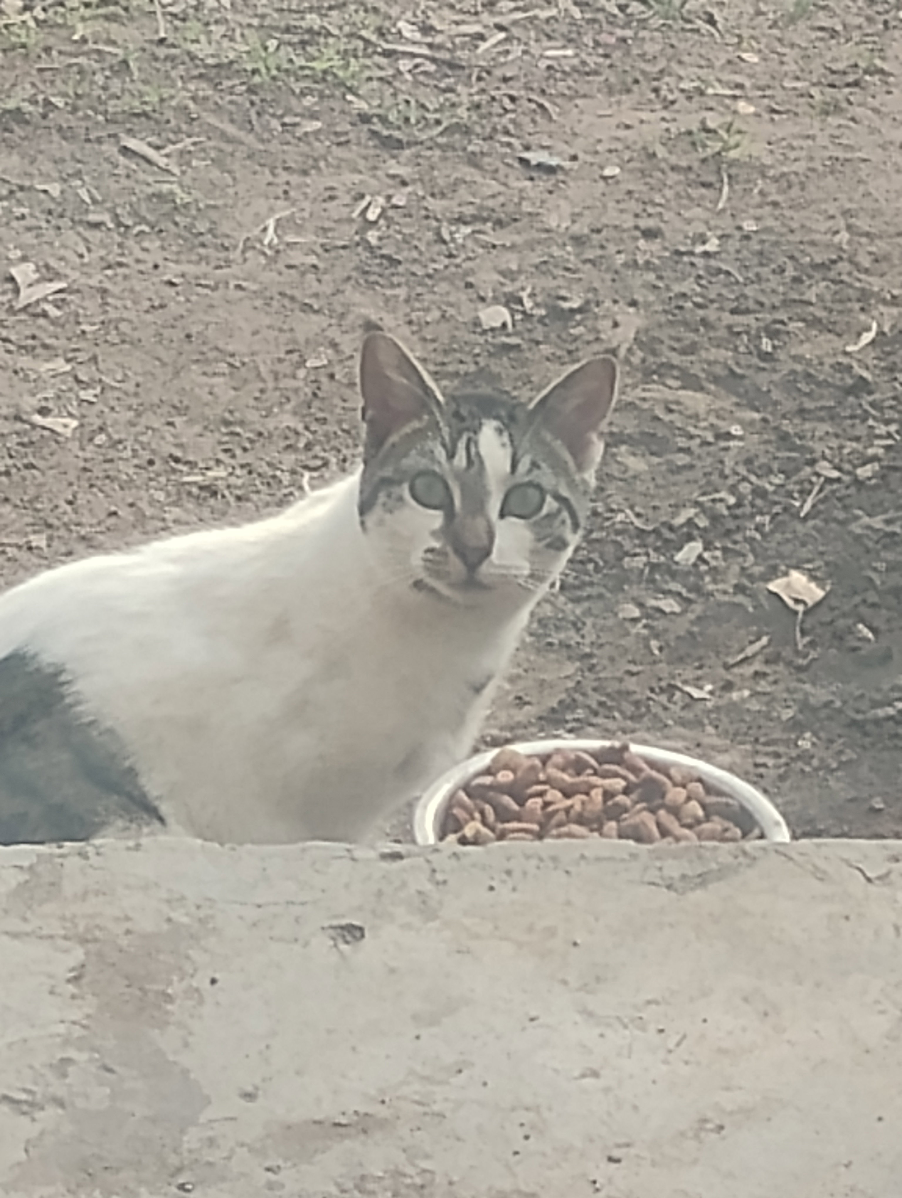 briboi97's Profile Photo