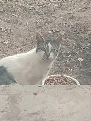 briboi97's Profile Photo