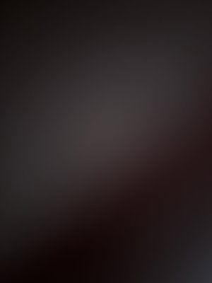 brodybays95's Profile Photo