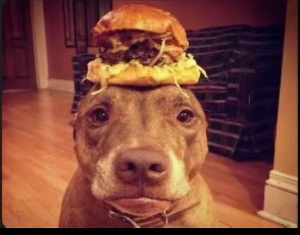 bw0294707, 18 years old from United States