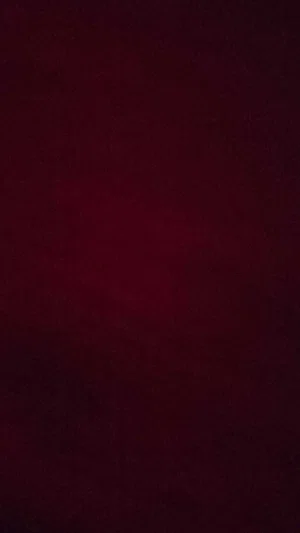 bzay8337's Profile Photo