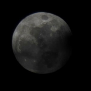 callmedaddy's Profile Photo