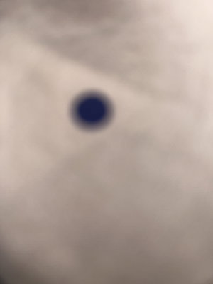 captrawdawg's Profile Photo