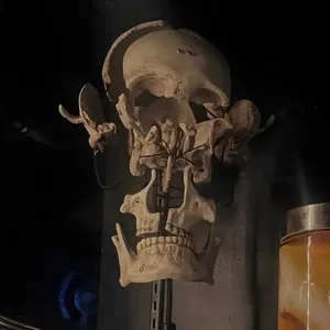 carmonaf3429's Profile Photo