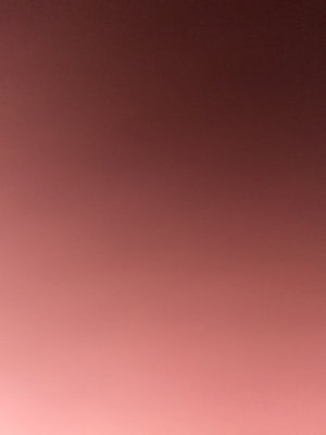 carter07's Profile Photo