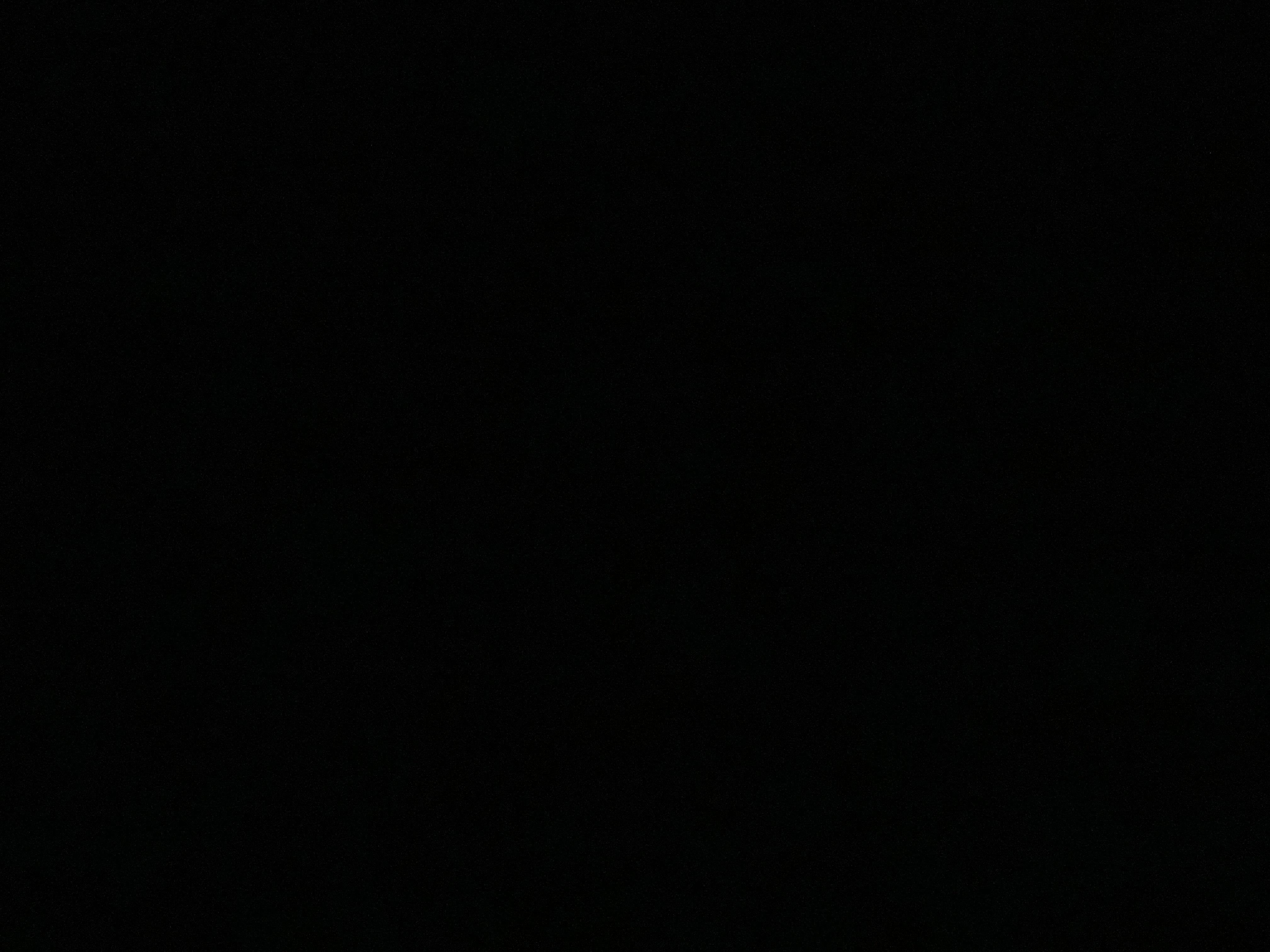 channico497's Profile Photo