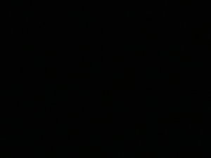 channico497's Profile Photo