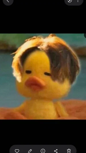 comonly's Profile Photo
