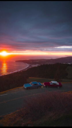 copcop's Profile Photo