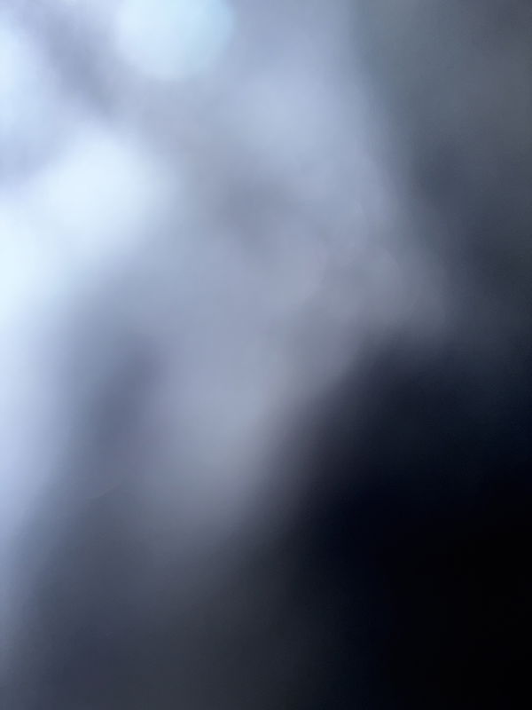 Corey, 21 years old from United States