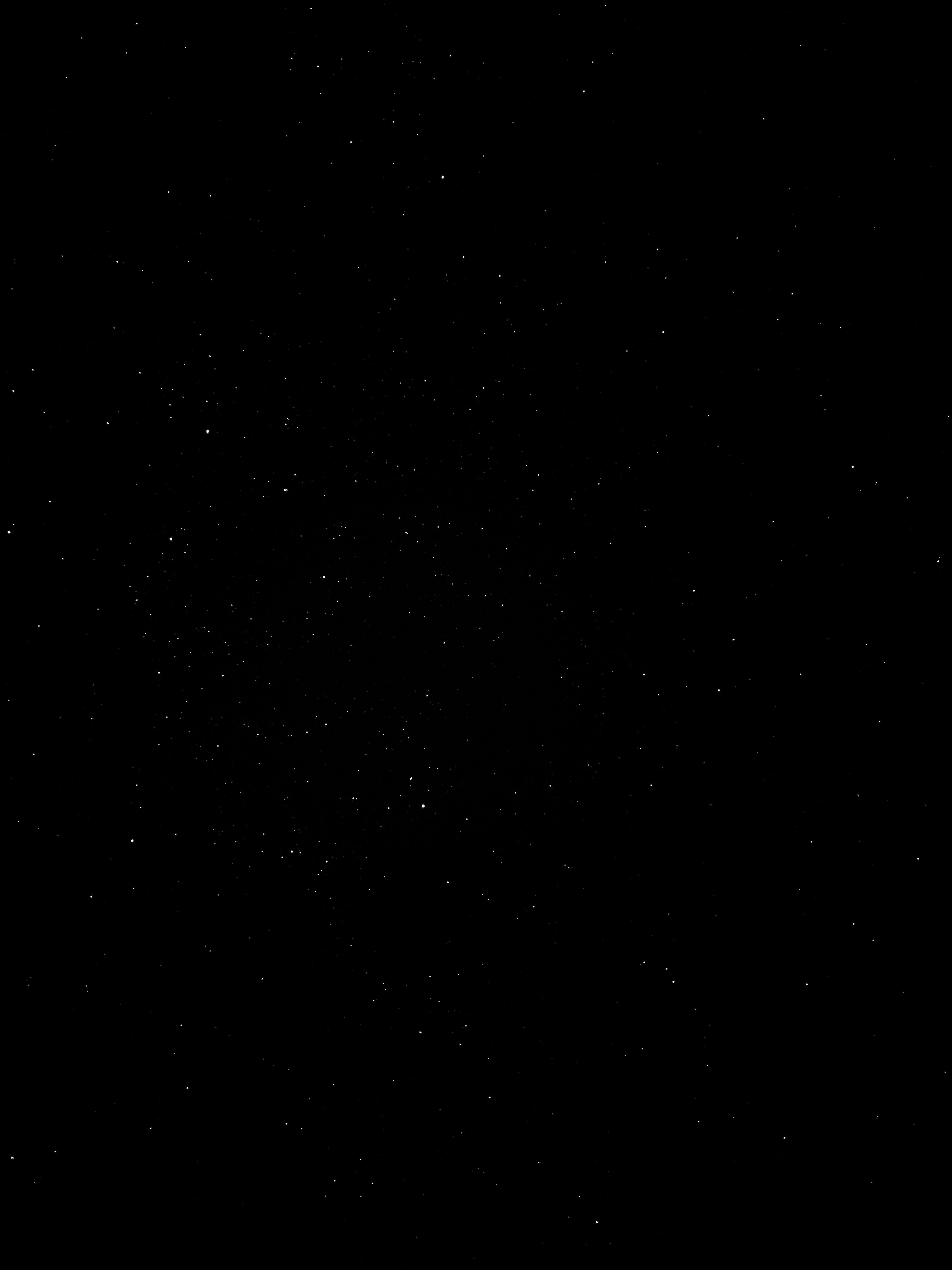 Coyote_UT's Profile Photo