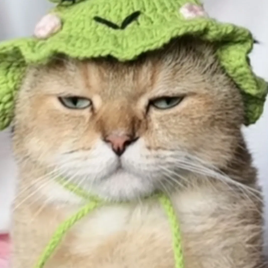 csakegyfiu20's Profile Photo