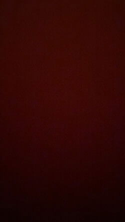 daddy1253, 18 years old from United States