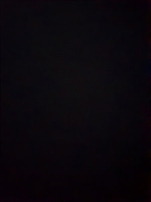 damia's Profile Photo