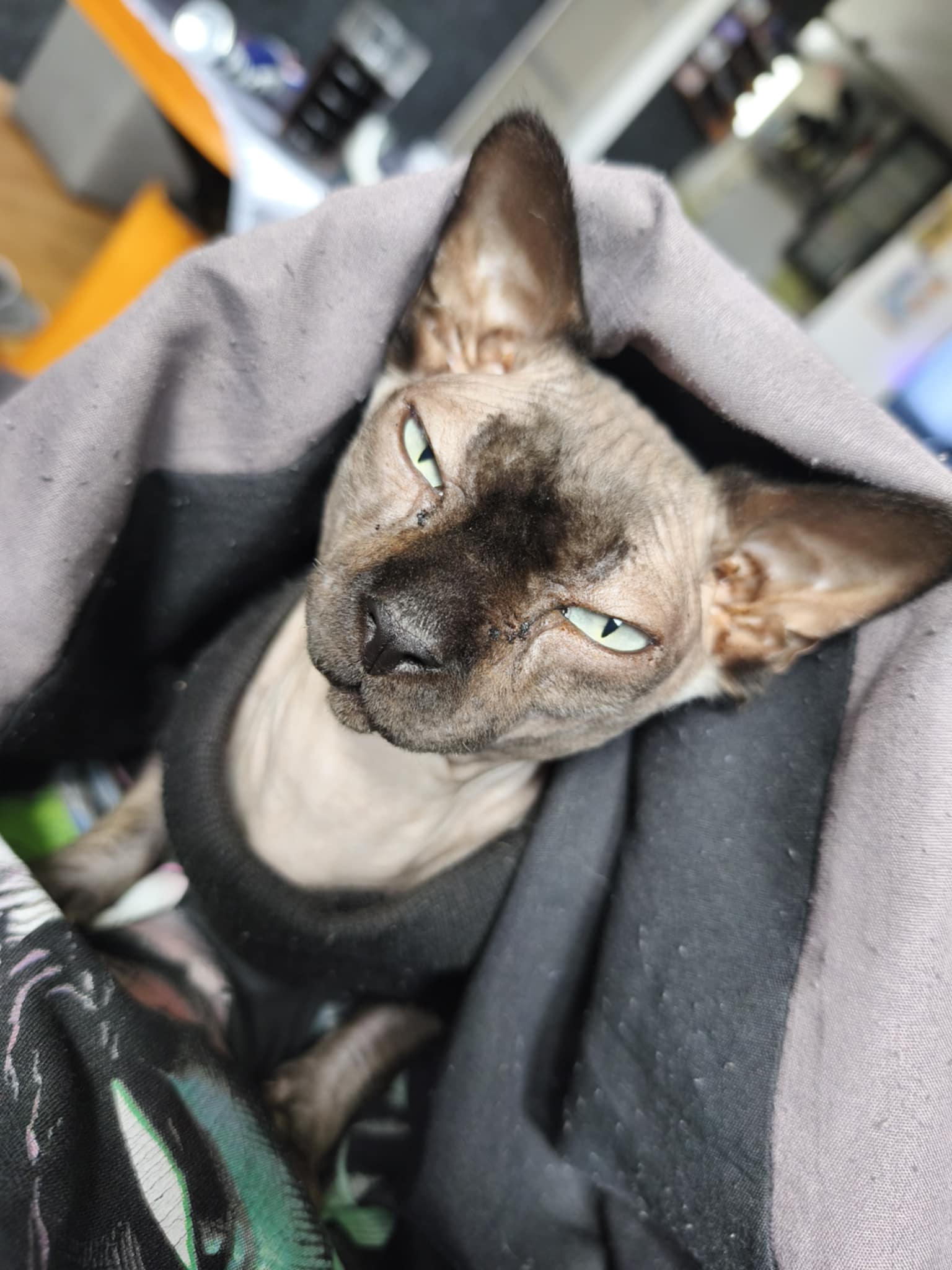 damspk69's Profile Photo