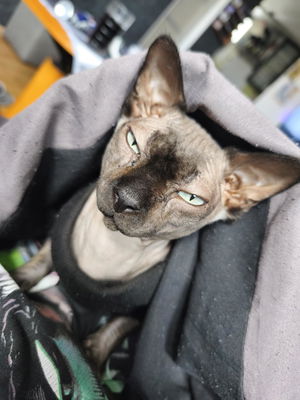 damspk69's Profile Photo