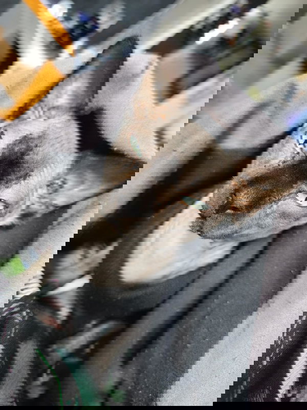 damspk69, 36 years old from Netherlands