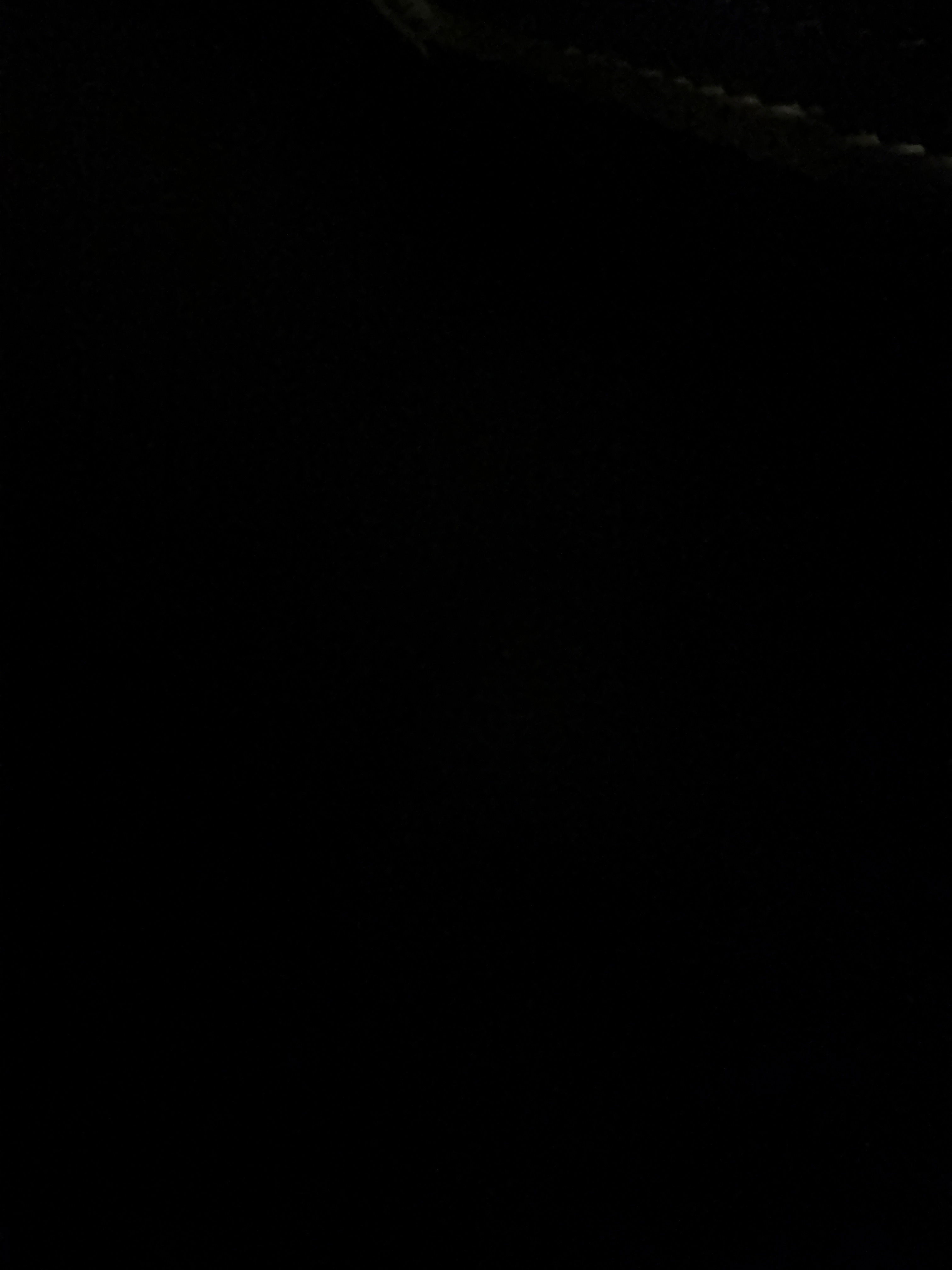 dangelocortijonieves1's Profile Photo