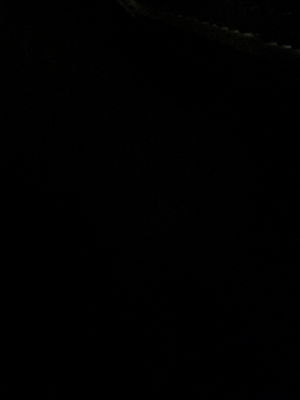 dangelocortijonieves1's Profile Photo