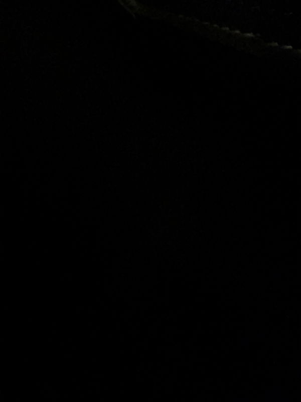 dangelocortijonieves1, 21 years old from United States