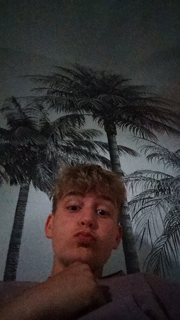 derksendiaz2014, 21 years old from Netherlands