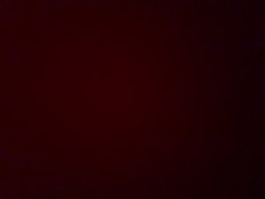 domworkman542's Profile Photo