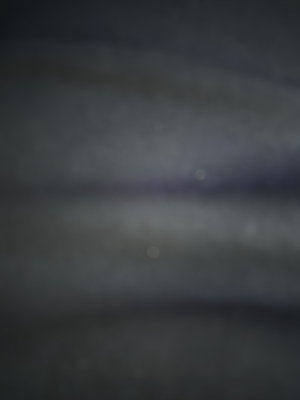 dreamus764's Profile Photo