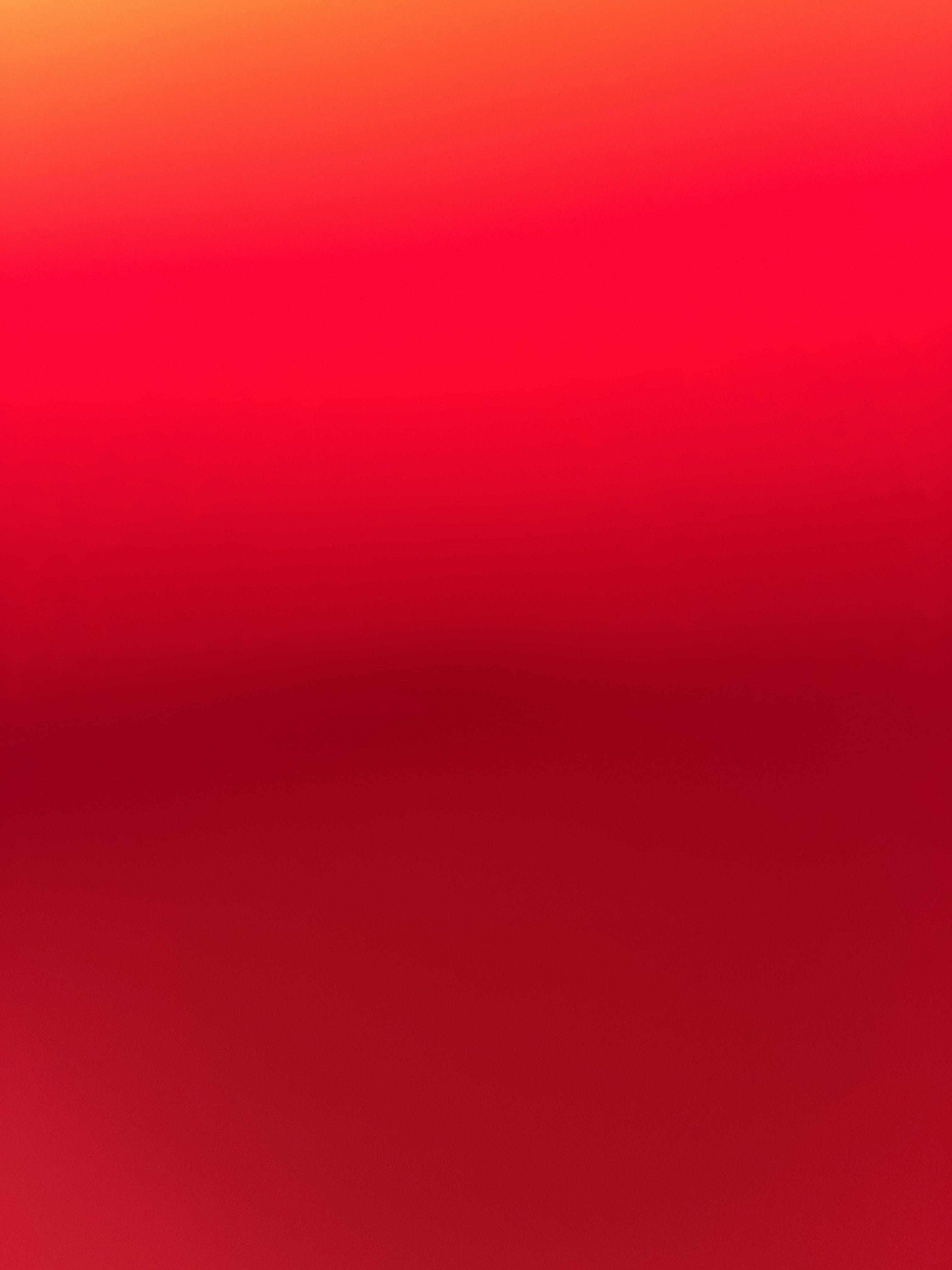 duckking54's Profile Photo