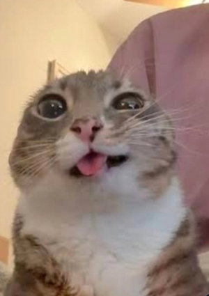 duvanbrandie's Profile Photo
