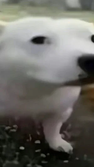 dxnnyg29's Profile Photo