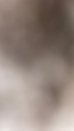 dylanjones551's Profile Photo